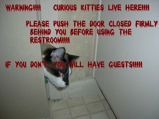 Warning Sign finished.jpg