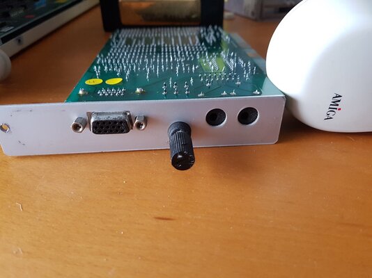 2019-01-26 13.44.37.jpg