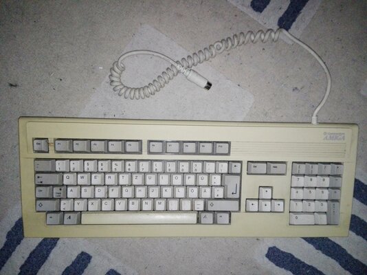 2019-02-11 19.00.40.jpg