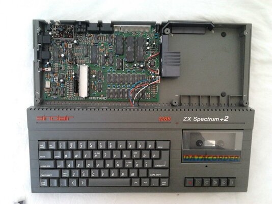 2019-03-16 11.29.10.jpg