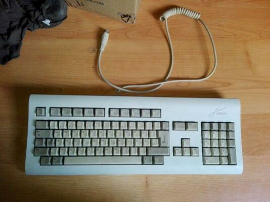 2019-04-24 13.58.26.jpg