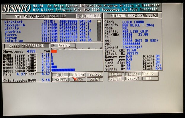 A4K Alice Sysinfo.jpg