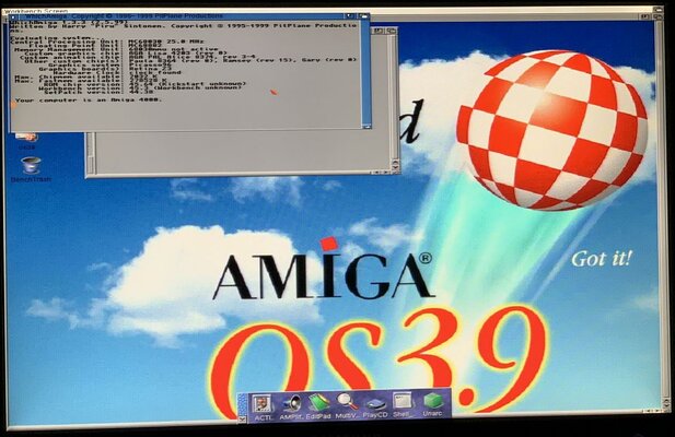 A4K Alice Whichamiga.jpg