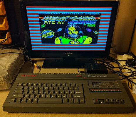 speccy1 (1).jpg