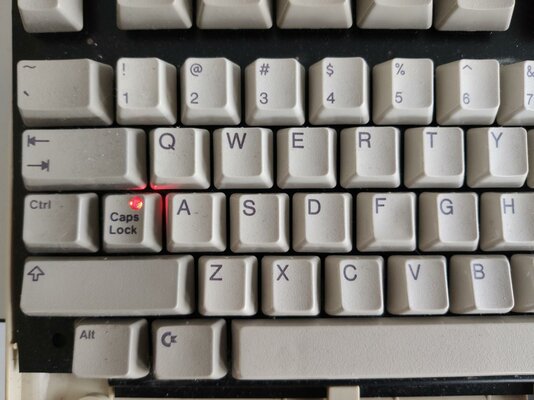 IMG_20200308_153633 - kopie.jpg