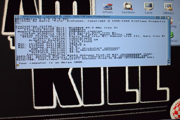 which_amiga.jpg