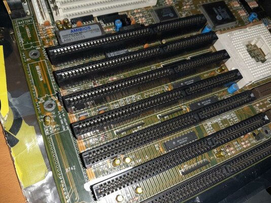 20200715_095905 (1).jpg