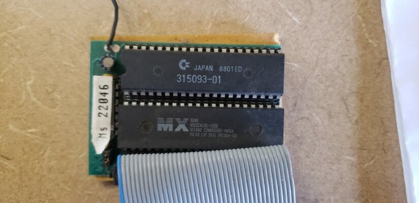 20210205_090342 (Small).jpg