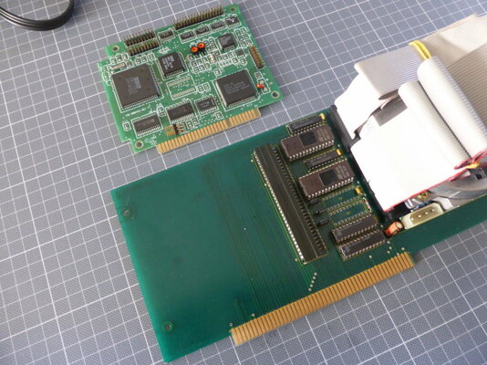 P1100103 (FILEminimizer).JPG