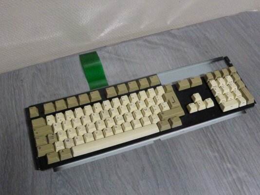 P1100187 (FILEminimizer).jpg