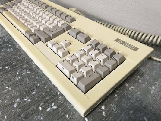 IMG_3798 (FILEminimizer).JPG