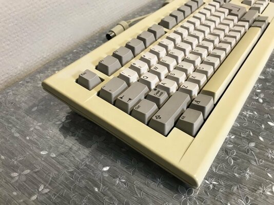 IMG_3799 (FILEminimizer).JPG