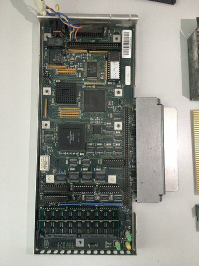 IMG_5685 (Groot).jpg