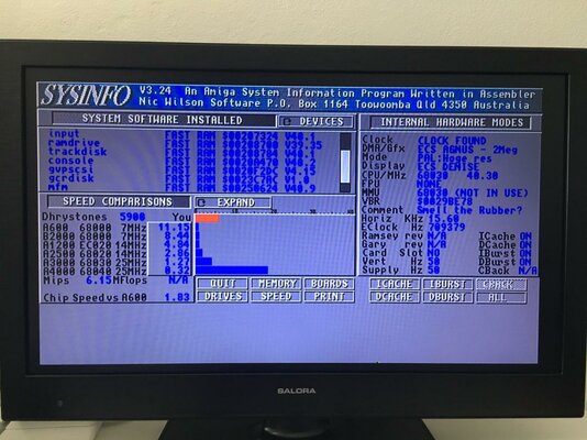 IMG_5705 (Groot).jpg