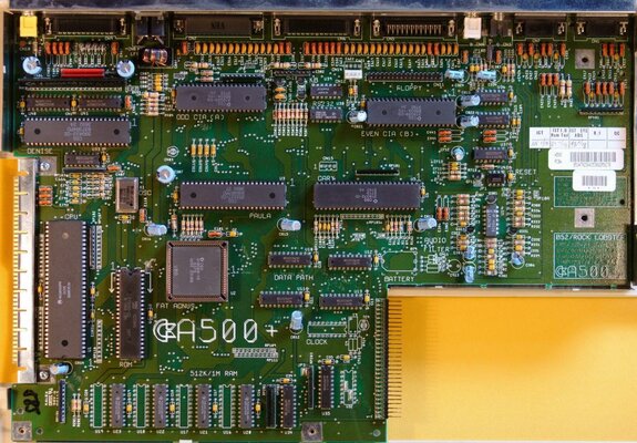 a500plusrev8amb.jpg