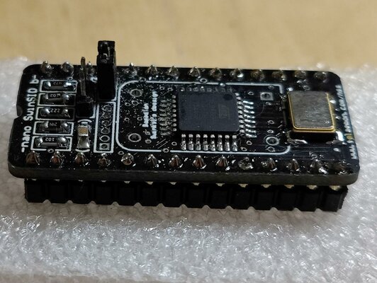 nano SwinSID closeup.jpg