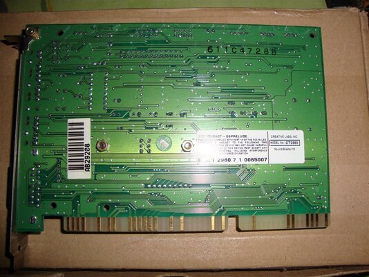 DSC02956 (Large).JPG