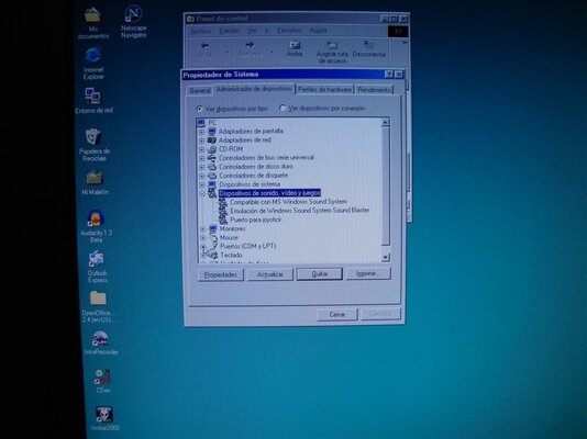 DSC02966 (Large).JPG