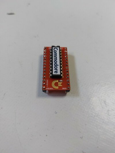 20221125_114013 (FILEminimizer).jpg