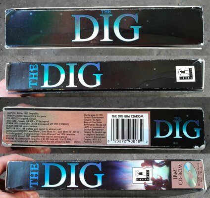 DIGNW-04.jpg