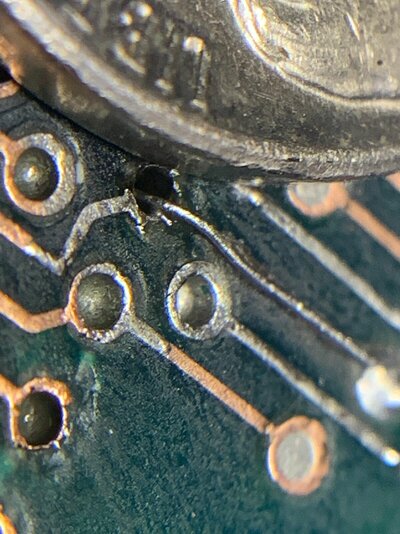 MicrosoftTeams-image (19).jpg