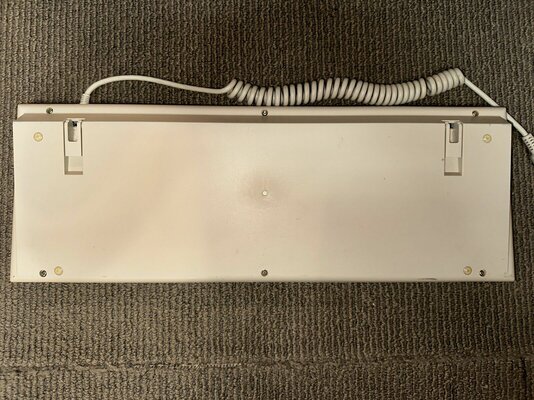 Photo 20-08-23, 3 09 05 PM.jpg