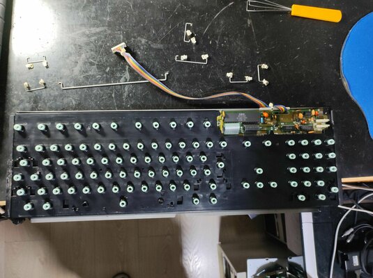 IMG_20230814_202202 copy.jpg