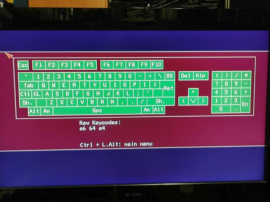 IMG_20230814_224422 copy.jpg