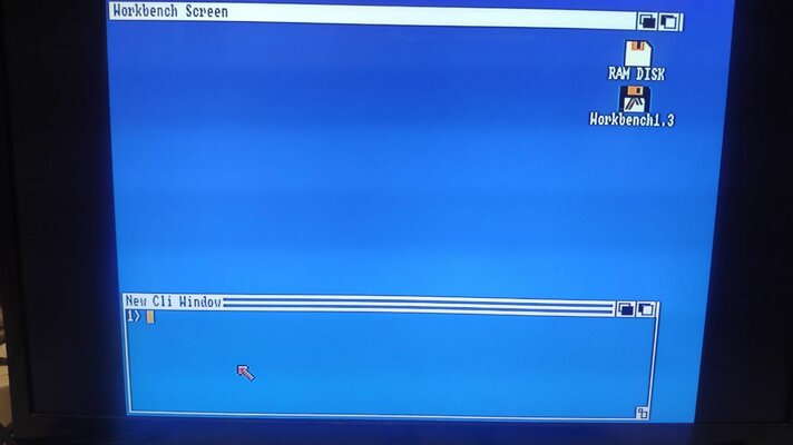 photo1708465197 (7).jpeg