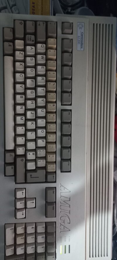 WhatsApp Image 2024-03-21 at 2.24.46 PM.jpeg