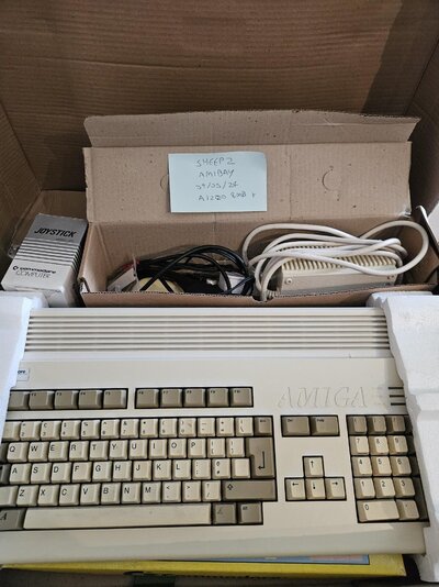 A1200 8Meg 2024 - Amibay.jpg