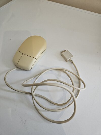 A1200 8Meg 2024 - Mouse top.jpg