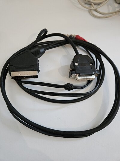 A1200 8Meg 2024 - Scart lead.jpg