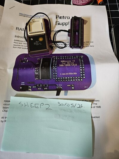 Ramesses 2 - Amibay.jpg