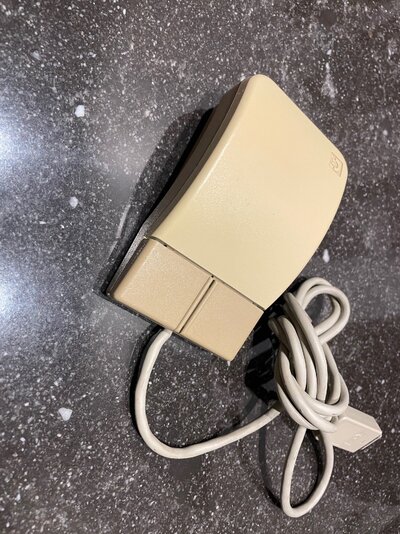 A3000mouse - 2.jpeg