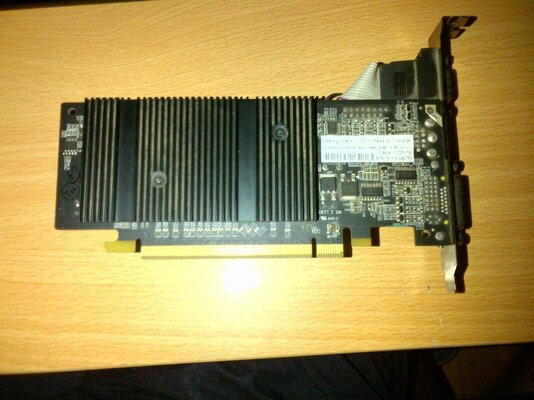 GEForce 7300LE_1.jpg