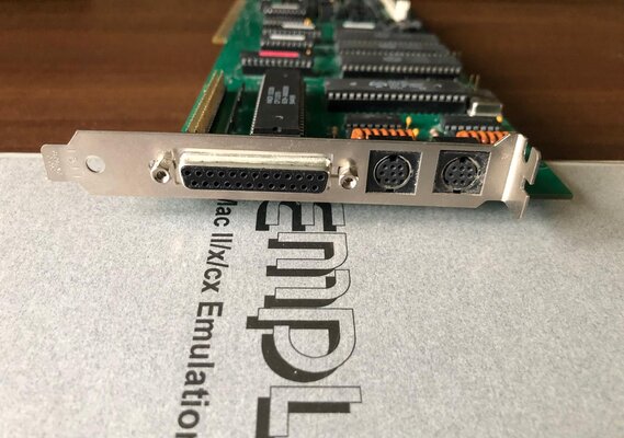 WhatsApp Image 2024-10-10 at 13.23.44.jpeg