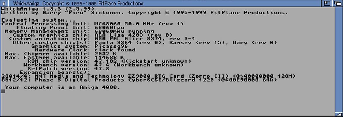 WhichAmiga.jpg