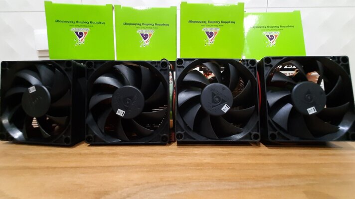 4 20241107_170212.jpg