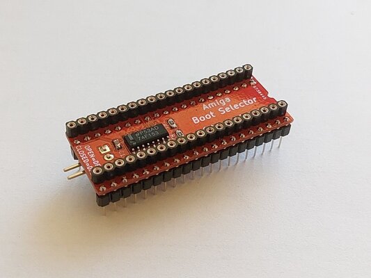 20241130_210238 (FILEminimizer).jpg