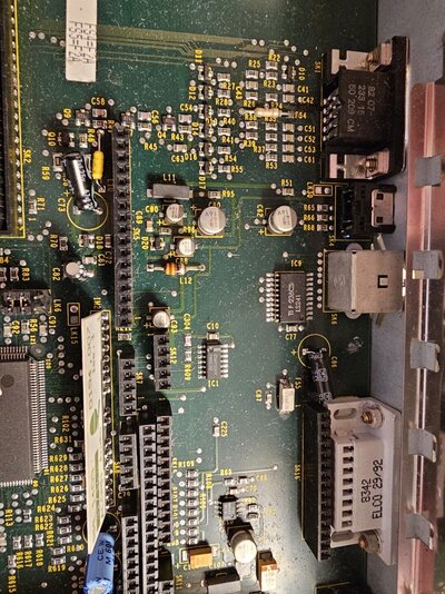 middle back before recap.jpg