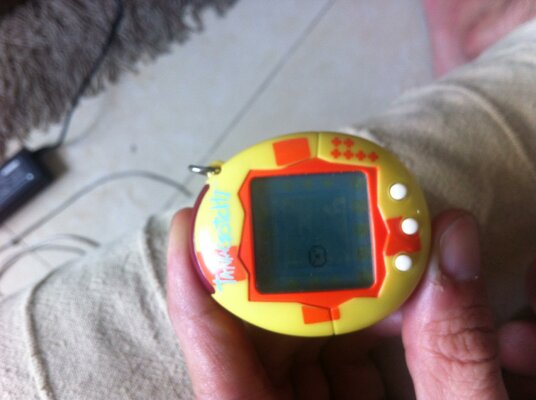 Photo 04-11-2012 14 09 19.jpg