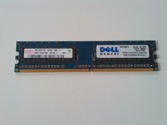 RAM1GB_DELL.jpg