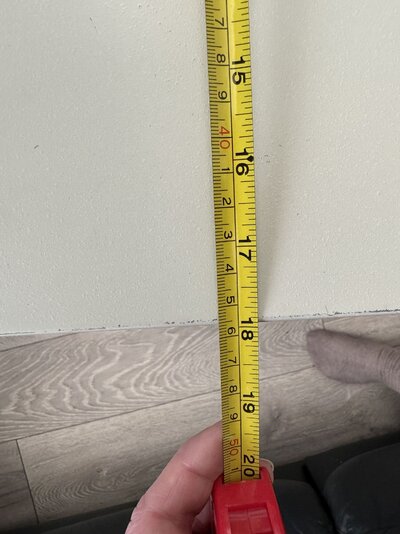 2025-01-30 12.49.43.jpg