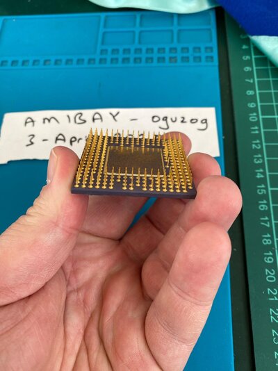 WhatsApp Image 2025-04-03 at 14.14.51(2).jpeg