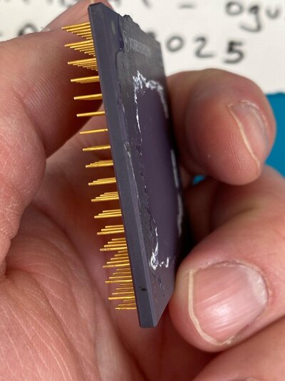 WhatsApp Image 2025-04-03 at 14.14.52(1).jpeg