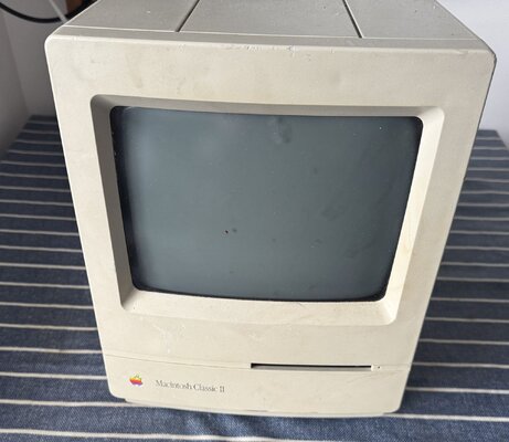 2025-05-12 12.04.57.jpg