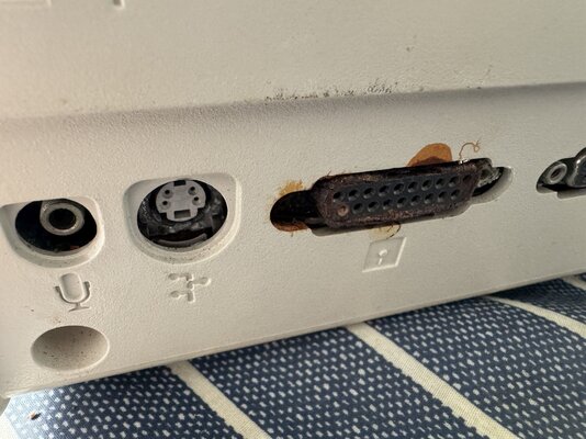 2025-05-12 12.05.34.jpg