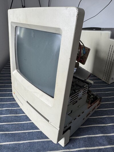 2025-05-12 12.10.24.jpg