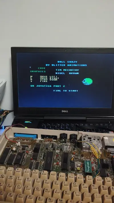 photo_2025-06-08_04-04-34 (3).webp